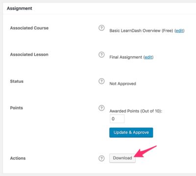 LearnDash single assignment download button