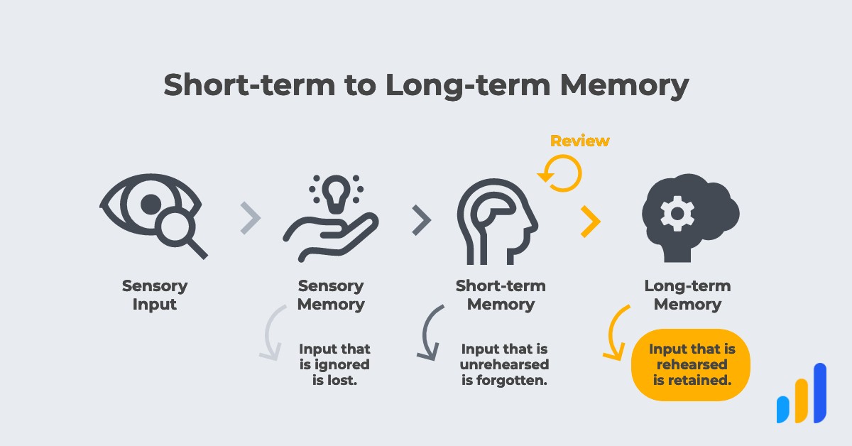 Graph showing how information moves from short term to long term memory with practice.